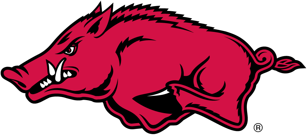 Arkansas Razorbacks 2001-2013 Alternate Logo iron on paper